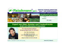 Tablet Screenshot of fleischmann-verona.it